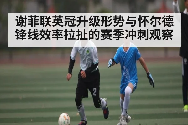 谢菲联英冠升级形势与怀尔德锋线效率拉扯的赛季冲刺观察